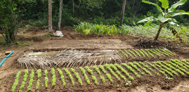 Imagem Imóvel à Venda, 12.000 m² em Zona Rural - Camaçari