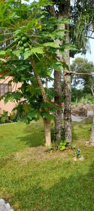 Imagem Casa com 2 Quartos à Venda, 312 m² em Cachoeira Do Bom Jesus - Florianópolis Imagem Casa com 2 Quartos à Venda, 312 m² em Cachoeira Do Bom Jesus - Florianópolis
