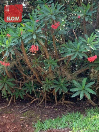 Imagem Chácara com 3 Quartos à Venda, 554 m² em Rancho Caiocara - Atibaia Imagem Chácara com 3 Quartos à Venda, 554 m² em Rancho Caiocara - Atibaia