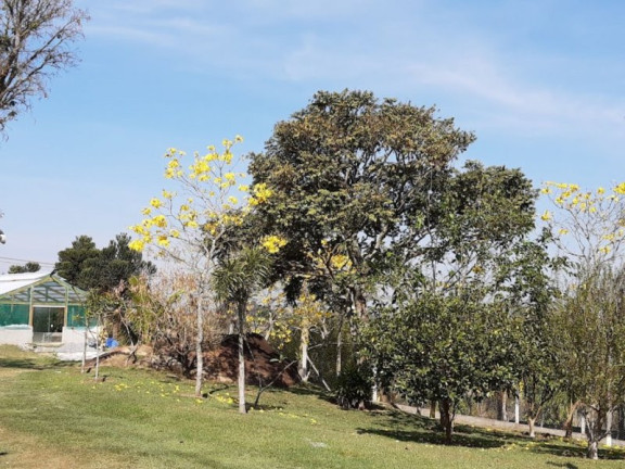 Imóvel com 3 Quartos à Venda, 10.000 m² em Sítio Da Moenda - Itatiba