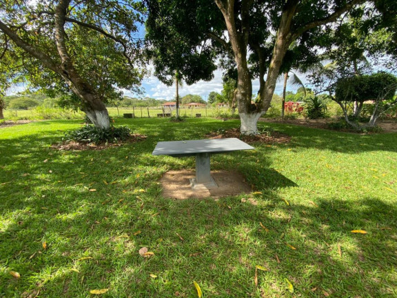 Imagem Imóvel com 4 Quartos à Venda, 30.500 m² em Cachoeira - Salvador
