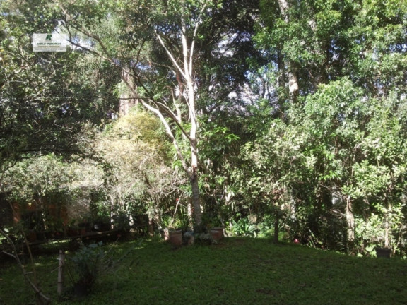 Imagem Chácara com 4 Quartos à Venda, 2.940 m² em Caetê - São Roque Imagem Chácara com 4 Quartos à Venda, 2.940 m² em Caetê - São Roque