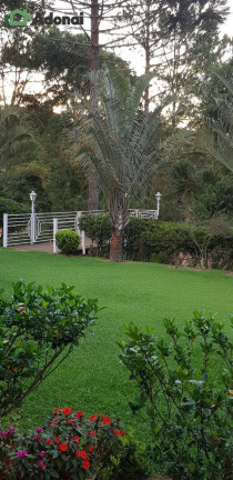 Imagem Chácara com 3 Quartos à Venda, 300 m² em Fazenda Primavera - Jarinu Imagem Chácara com 3 Quartos à Venda, 300 m² em Fazenda Primavera - Jarinu