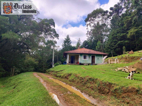 Imagem Chácara à Venda, 60.500 m² em Bom Jardim - Camanducaia Imagem Chácara à Venda, 60.500 m² em Bom Jardim - Camanducaia