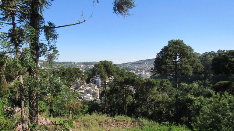 Imagem Terreno à Venda, 450 m² em Jardim - Concórdia Imagem Terreno à Venda, 450 m² em Jardim - Concórdia