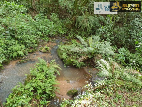 Imagem Imóvel com 1 Quarto à Venda, 30.000 m² em Cascata - Pelotas
