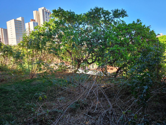 Imagem Sobrado com 5 Quartos à Venda, 1.490 m² em Quilombo - Cuiabá Imagem Sobrado com 5 Quartos à Venda, 1.490 m² em Quilombo - Cuiabá