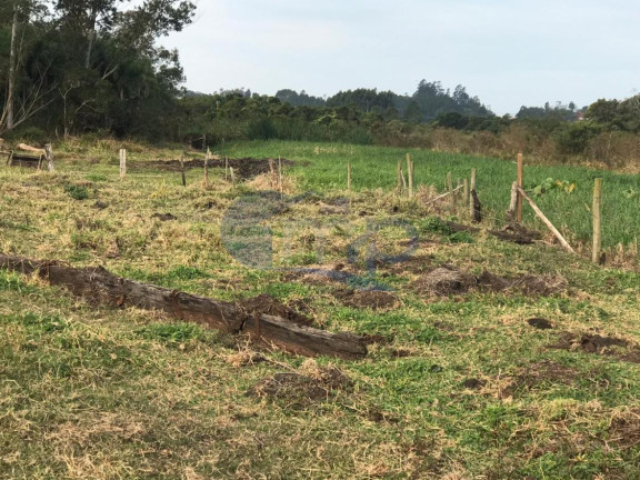 Imagem Fazenda à Venda, 120.000 m² em Jacaré - Torres