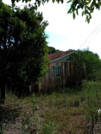 Imagem Chácara com 3 Quartos à Venda, 130.000 m² em Cantagalo - Antônio Olinto Imagem Chácara com 3 Quartos à Venda, 130.000 m² em Cantagalo - Antônio Olinto