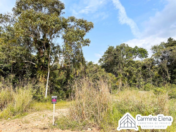 Imagem Terreno à Venda, 150 m² em Tabatinga - Ubatuba