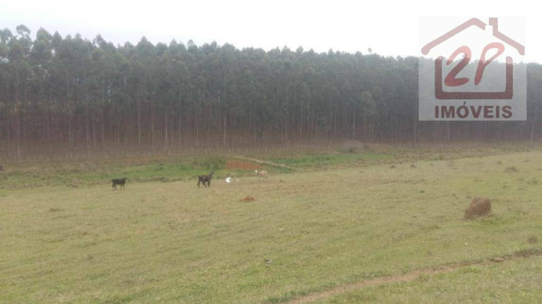 Imagem Imóvel à Venda, 459.800 m² em Cacapava - Caçapava Imagem Imóvel à Venda, 459.800 m² em Cacapava - Caçapava