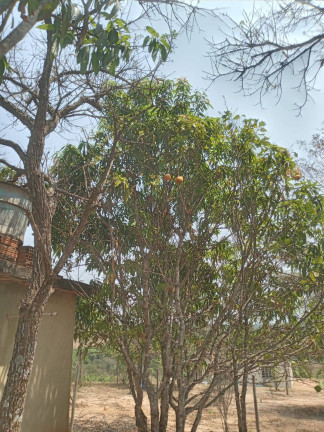 Imagem Chácara à Venda, 1.999 m² em Condomínio Tiradentes - Brumadinho
