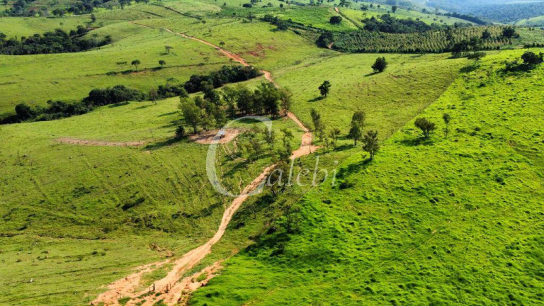 Imagem Fazenda à Venda, 160 m² em Itapira Imagem Fazenda à Venda, 160 m² em Itapira