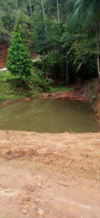 Imagem Chácara à Venda, 30.000 m² em Santa Maria De Marechal - Marechal Floriano