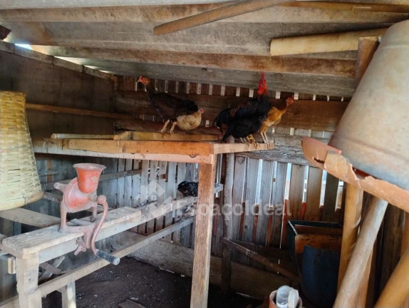 Imagem Fazenda à Venda, 200 m² em área Rural De Macatuba - Macatuba Imagem Fazenda à Venda, 200 m² em área Rural De Macatuba - Macatuba