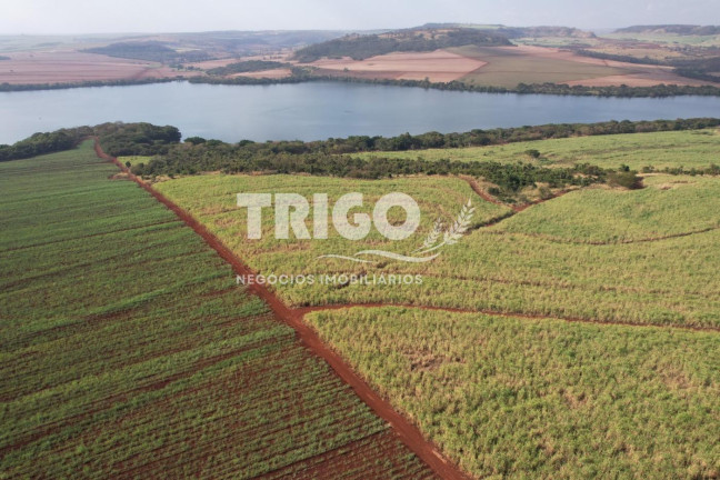 Imagem Fazenda à Venda, 56 m² em Zona Rural - Igarapava