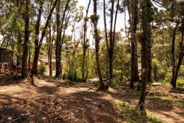 Imagem Terreno à Venda, 3.132 m² em Campos Do Jordão Imagem Terreno à Venda, 3.132 m² em Campos Do Jordão