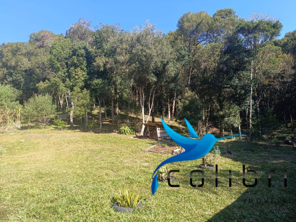 Imagem Chácara com 2 Quartos à Venda, 6.000 m² em Palmital - Agudos Do Sul Imagem Chácara com 2 Quartos à Venda, 6.000 m² em Palmital - Agudos Do Sul