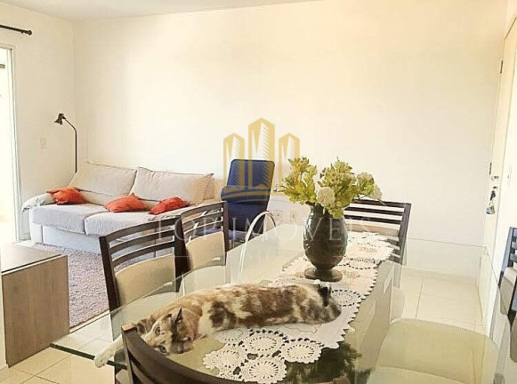 Imagem Apartamento com 3 Quartos à Venda, 81 m² em Jardim Paulista - São José Dos Campos