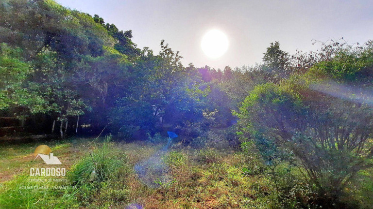 Imagem Fazenda à Venda, 6.000 m² em águas Claras - Viamão Imagem Fazenda à Venda, 6.000 m² em águas Claras - Viamão
