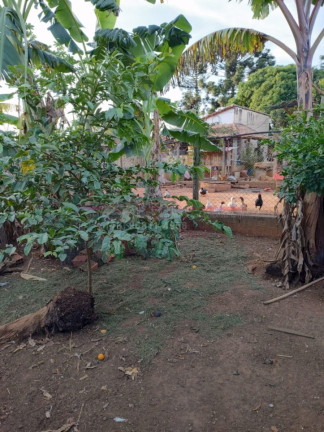 Imagem Chácara com 3 Quartos à Venda, 100 m² em Santo Antonio - Boituva