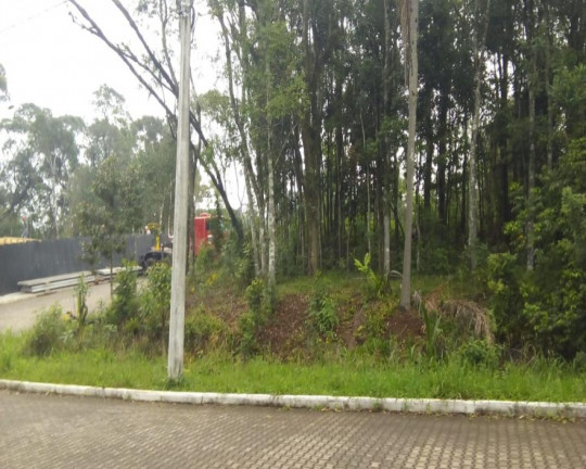 Imagem Imóvel à Venda, 515 m² em Juriti - Nova Petrópolis Imagem Imóvel à Venda, 515 m² em Juriti - Nova Petrópolis