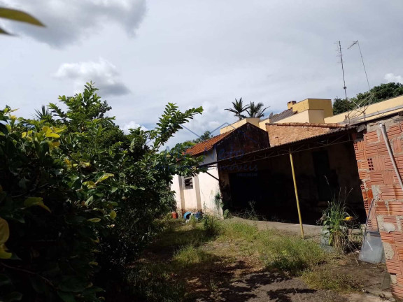 Imagem Terreno à Venda, 835 m² em Centro - Pirassununga Imagem Terreno à Venda, 835 m² em Centro - Pirassununga