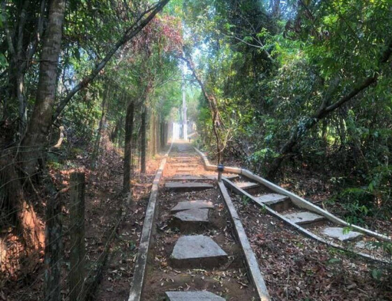 Imagem Chácara com 4 Quartos à Venda, 5.000 m² em Chapada Dos Guimarães Imagem Chácara com 4 Quartos à Venda, 5.000 m² em Chapada Dos Guimarães
