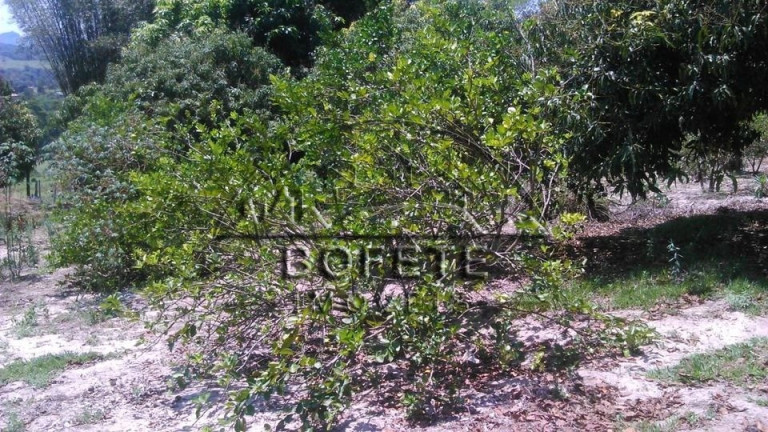 Imagem Imóvel com 2 Quartos à Venda, 20.000 m² em Rural - Bofete Imagem Imóvel com 2 Quartos à Venda, 20.000 m² em Rural - Bofete