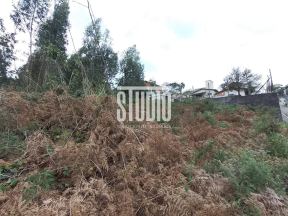 Imagem Terreno à Venda, 987 m² em Chacaras - Garibaldi Imagem Terreno à Venda, 987 m² em Chacaras - Garibaldi