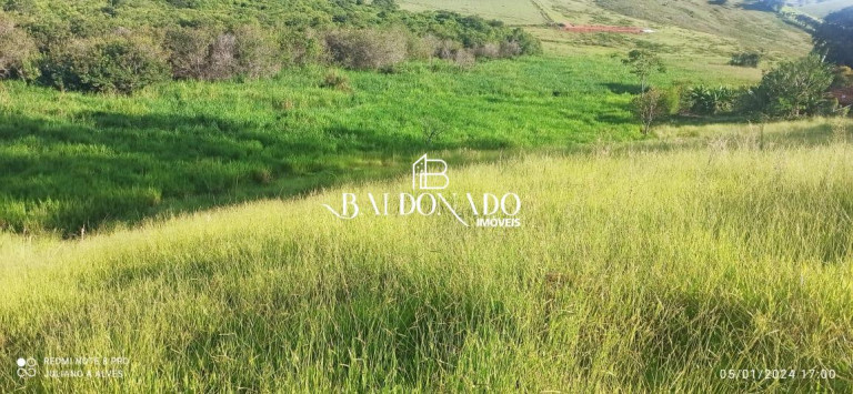 Imagem Terreno à Venda, 2.000 m² em Centro - Estiva