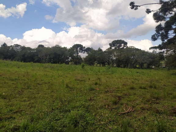 Imagem Terreno à Venda, 5.000 m² em Contenda - São José Dos Pinhais