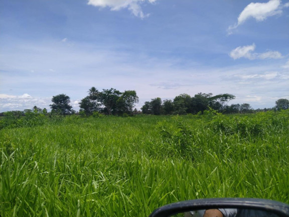 Imagem Fazenda à Venda, 2.050 m² em Rural - Rio Verde De Mato Grosso