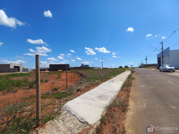 Imagem Terreno à Venda, 303 m² em Jardim Italia - Patos De Minas
