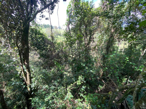 Imagem Terreno à Venda, 3 m² em Santa Terezinha De Minas - Itatiaiuçu Imagem Terreno à Venda, 3 m² em Santa Terezinha De Minas - Itatiaiuçu