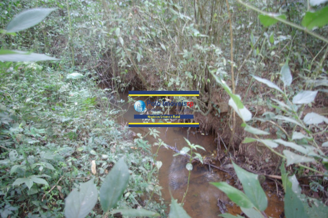 Imagem Imóvel com 1 Quarto à Venda, 19.700 m² em Campestre - Muzambinho Imagem Imóvel com 1 Quarto à Venda, 19.700 m² em Campestre - Muzambinho