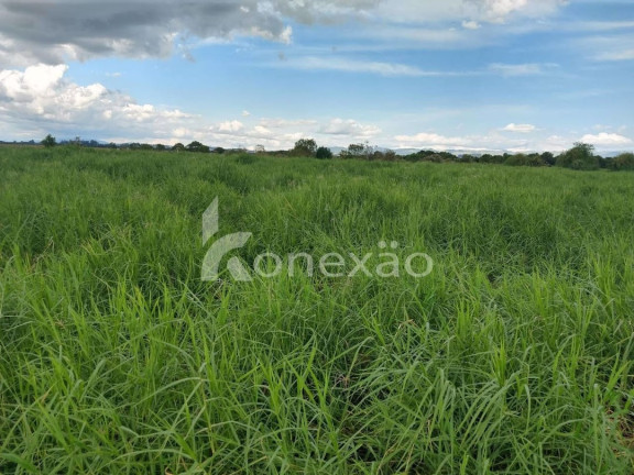 Imagem Chácara com 1 Quarto à Venda, 300 m² em Bairro Marambaia - Caçapava Imagem Chácara com 1 Quarto à Venda, 300 m² em Bairro Marambaia - Caçapava