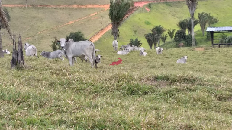Imagem Fazenda à Venda, 968 m² em Centro - Palmópolis Imagem Fazenda à Venda, 968 m² em Centro - Palmópolis
