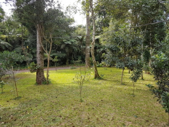 Imagem Chácara com 3 Quartos à Venda, 8.000 m² em Zona Rural - Cascavel