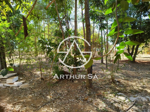 Imagem Chácara com 10 Quartos à Venda, 25.000 m² em Brasília Imagem Chácara com 10 Quartos à Venda, 25.000 m² em Brasília
