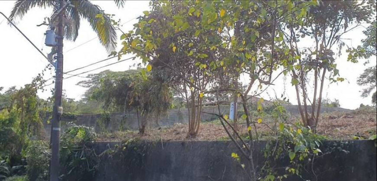 Imagem Terreno em Condomínio à Venda, 3.203 m² em Parque Primavera - Carapicuíba