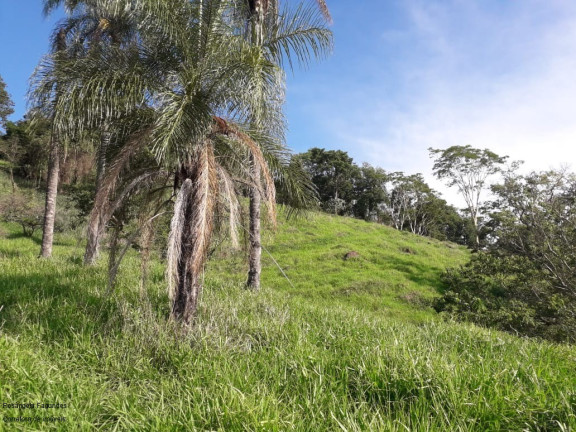 Imagem Imóvel com 7 Quartos à Venda, 544.120 m² em Centro - São João Da Boa Vista Imagem Imóvel com 7 Quartos à Venda, 544.120 m² em Centro - São João Da Boa Vista