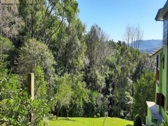 Imagem Imóvel com 2 Quartos à Venda, 220 m² em Linha Brasil Fundos - Nova Petrópolis
