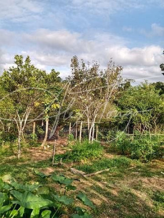 Imagem Fazenda à Venda, 100 m² em Timbuí - Fundão