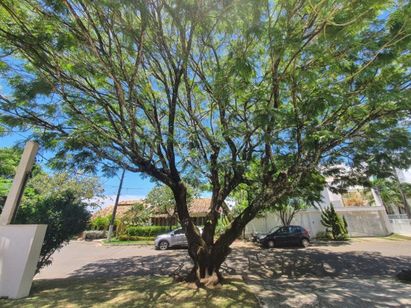 Imagem Casa de Condomínio com 4 Quartos à Venda, 520 m² em Piatã - Salvador