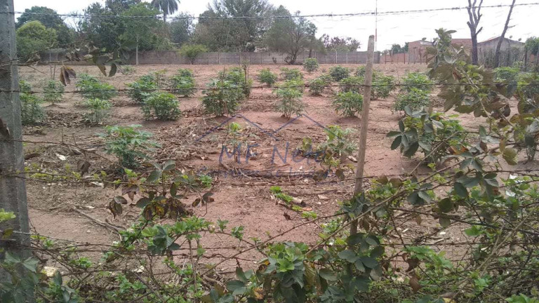 Imagem Terreno à Venda, 1.782 m² em Vila Santa Fé - Pirassununga Imagem Terreno à Venda, 1.782 m² em Vila Santa Fé - Pirassununga