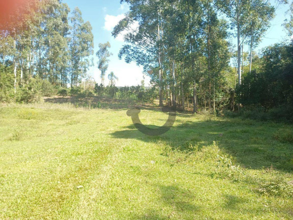 Imagem Chácara à Venda, 110 m² em Linha Travessa - Santa Cruz Do Sul Imagem Chácara à Venda, 110 m² em Linha Travessa - Santa Cruz Do Sul