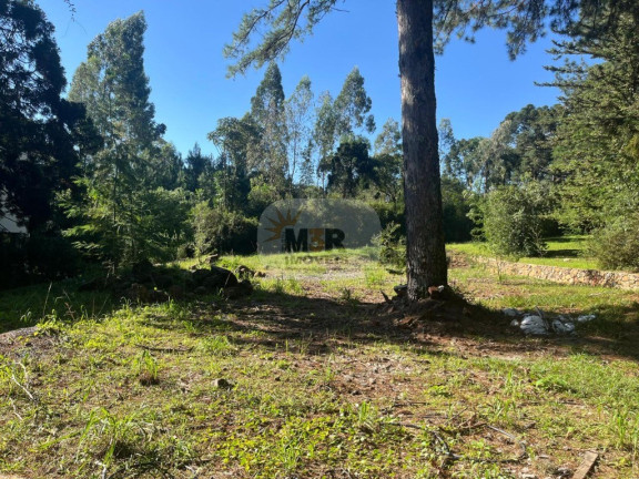 Imagem Terreno à Venda, 5.633 m² em Pousada Da Neve - Nova Petrópolis Imagem Terreno à Venda, 5.633 m² em Pousada Da Neve - Nova Petrópolis