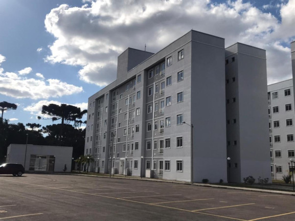 Imagem Apartamento com 3 Quartos à Venda, 75 m² em Afonso Pena - São José Dos Pinhais Imagem Apartamento com 3 Quartos à Venda, 75 m² em Afonso Pena - São José Dos Pinhais