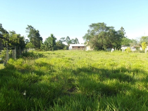 Imagem Terreno à Venda, 2.000 m² em águas Claras - Viamão